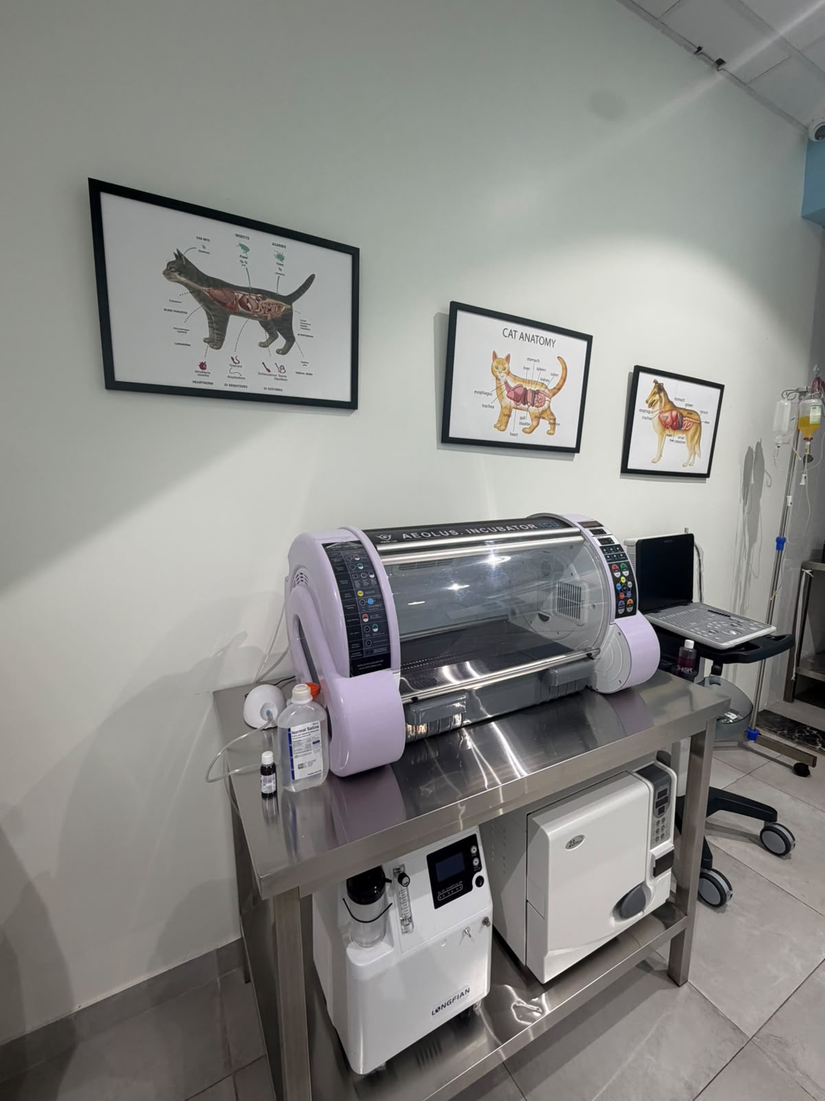 ICU Incubator